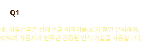 Q1